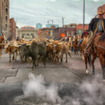 Revisiting the National Western Stock Show