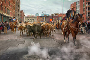 Revisiting the National Western Stock Show